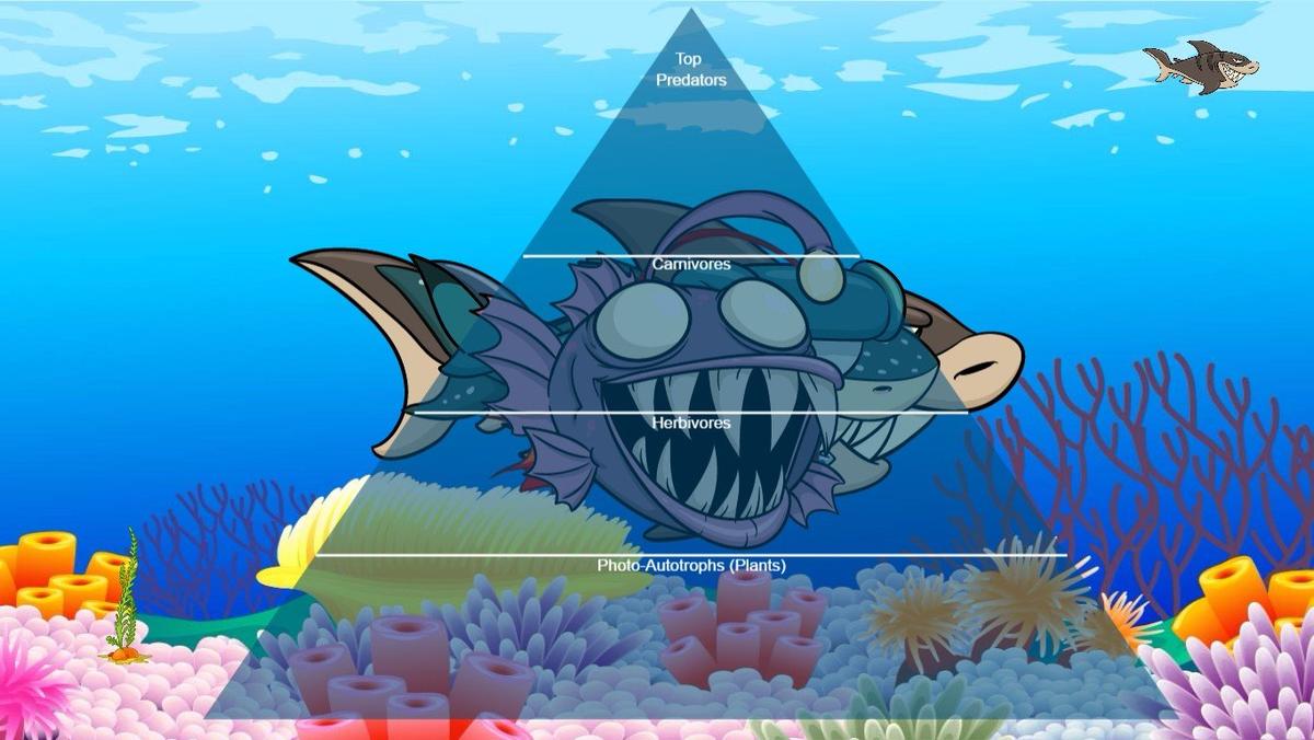 Ocean Ecological Pyramid - TEMPLATE