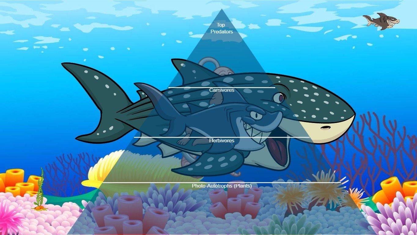 Ocean Ecological Pyramid - TEMPLATE