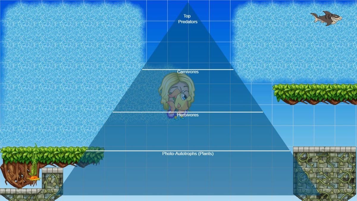 Ocean Ecological Pyramid - TEMPLATE