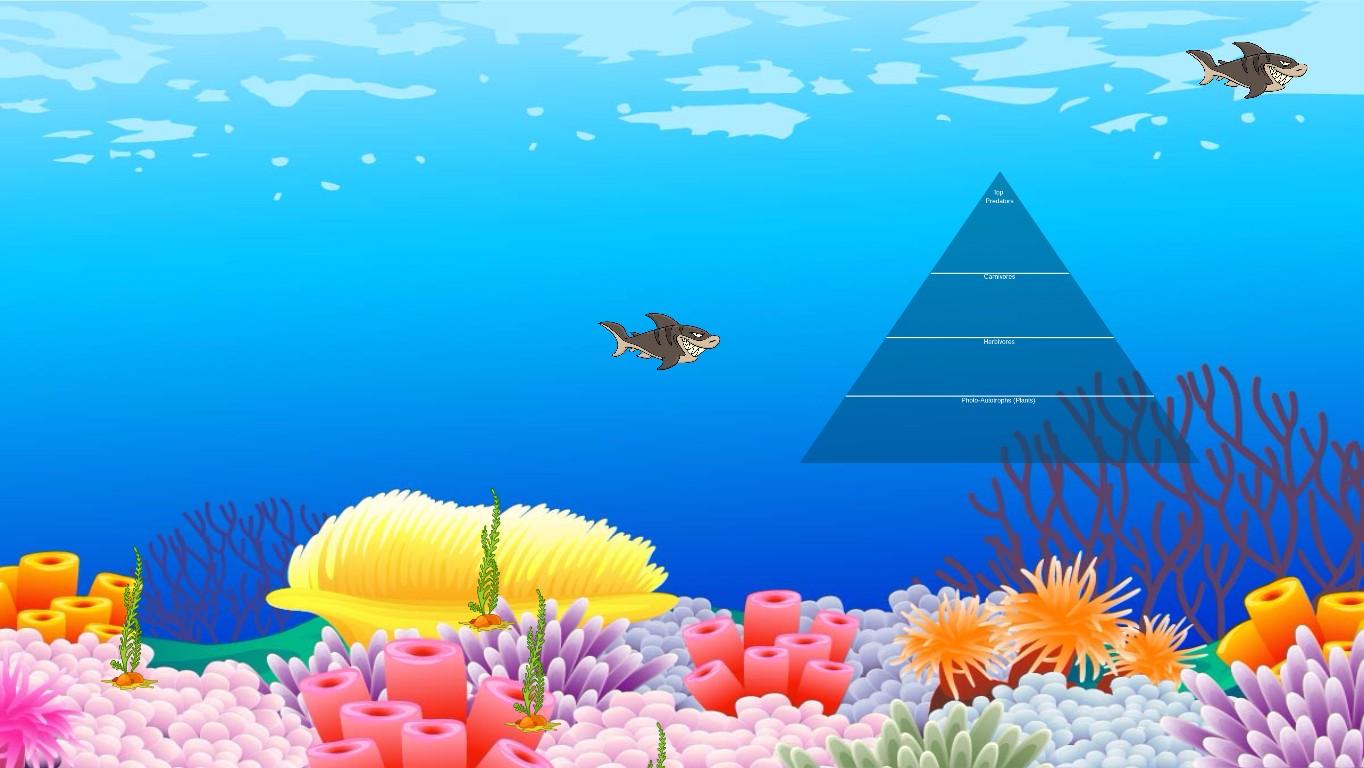 Ocean Ecological Pyramid - TEMPLATE