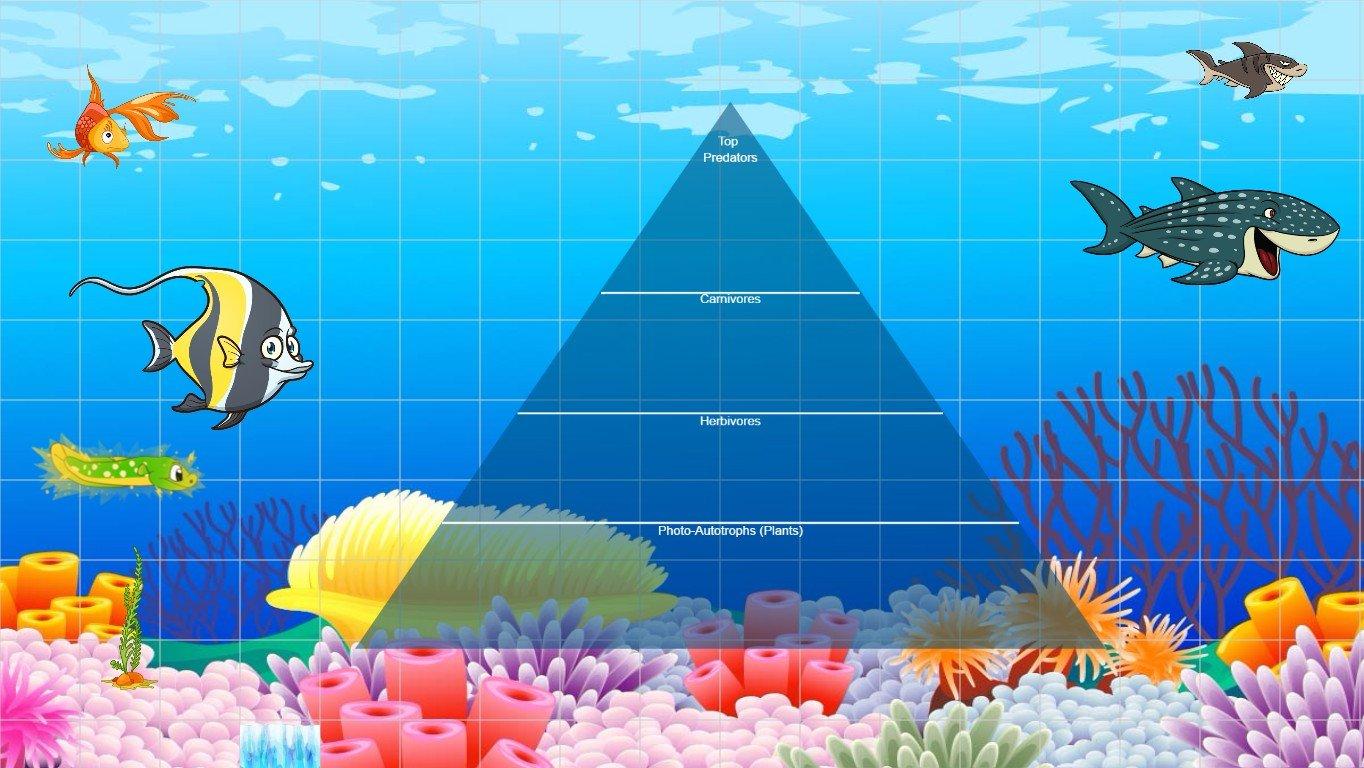 Ocean Ecological Pyramid - TEMPLATE