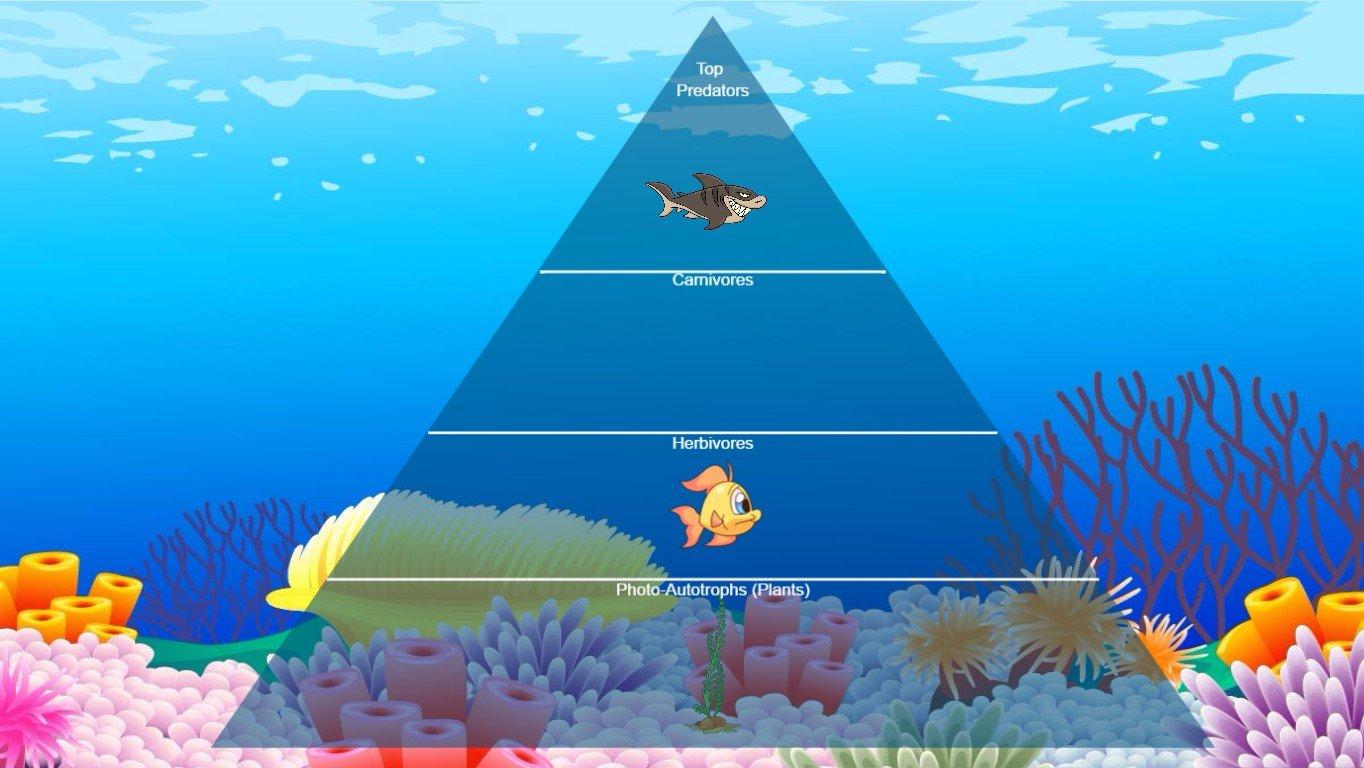 Ocean Ecological Pyramid - TEMPLATE