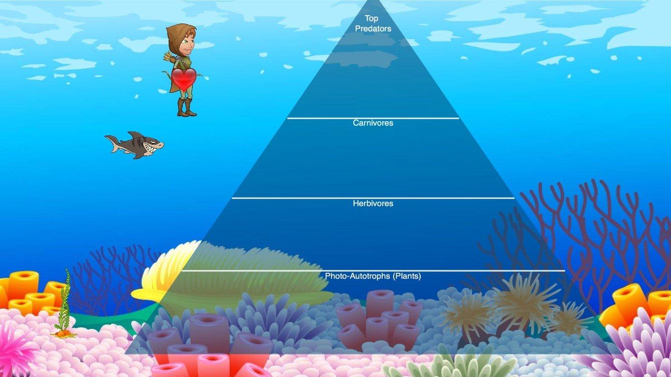 Ocean Ecological Pyramid - TEMPLATE