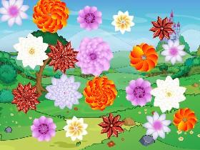 Flower Power 2