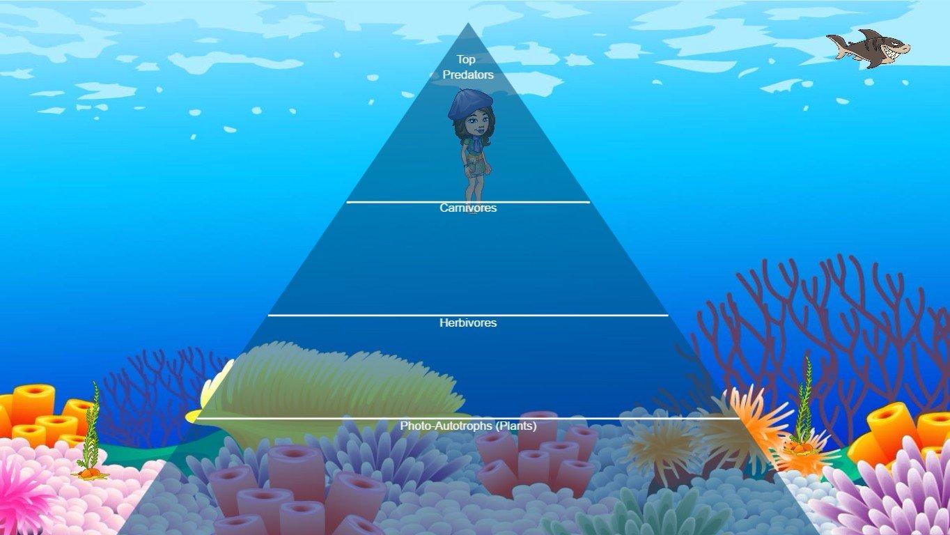 Ocean Ecological Pyramid - TEMPLATE