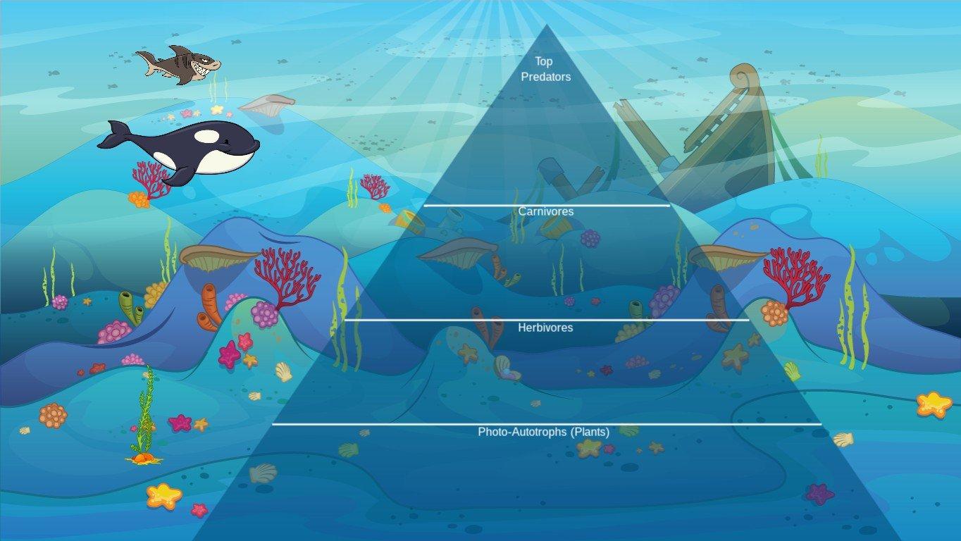 Ocean Ecological Pyramid - TEMPLATE