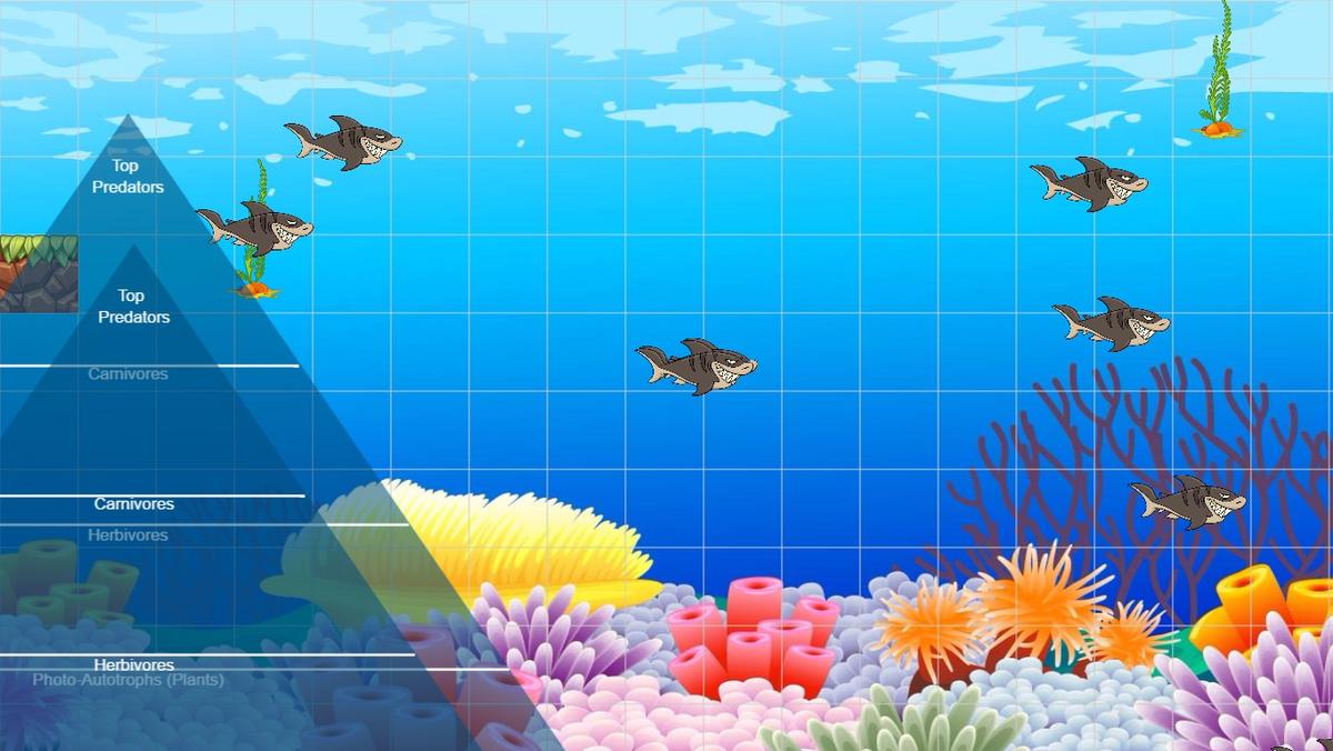 Ocean Ecological Pyramid - TEMPLATE