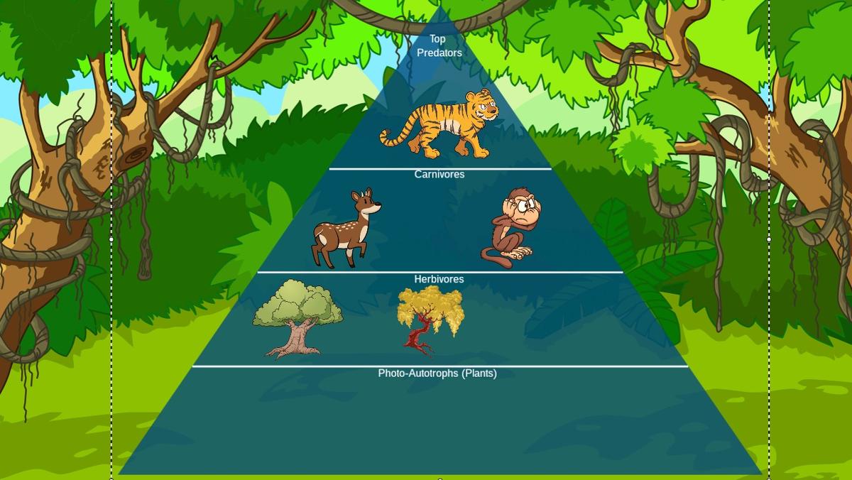 Ocean Ecological Pyramid - TEMPLATE