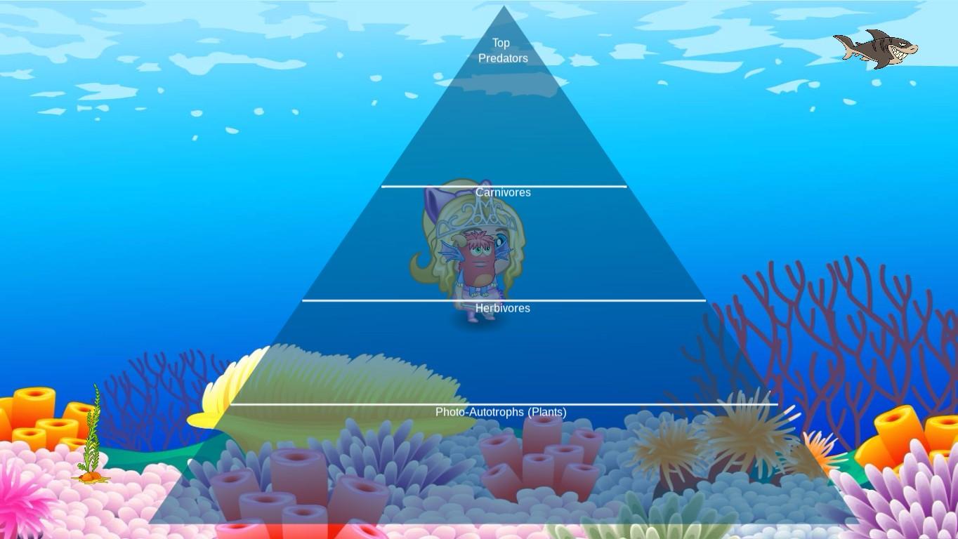 Ocean Ecological Pyramid - TEMPLATE