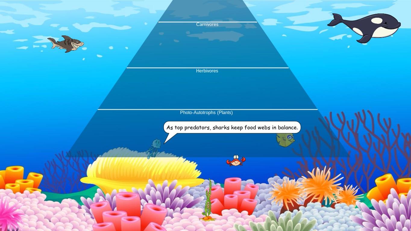 Ocean Ecological Pyramid - TEMPLATE