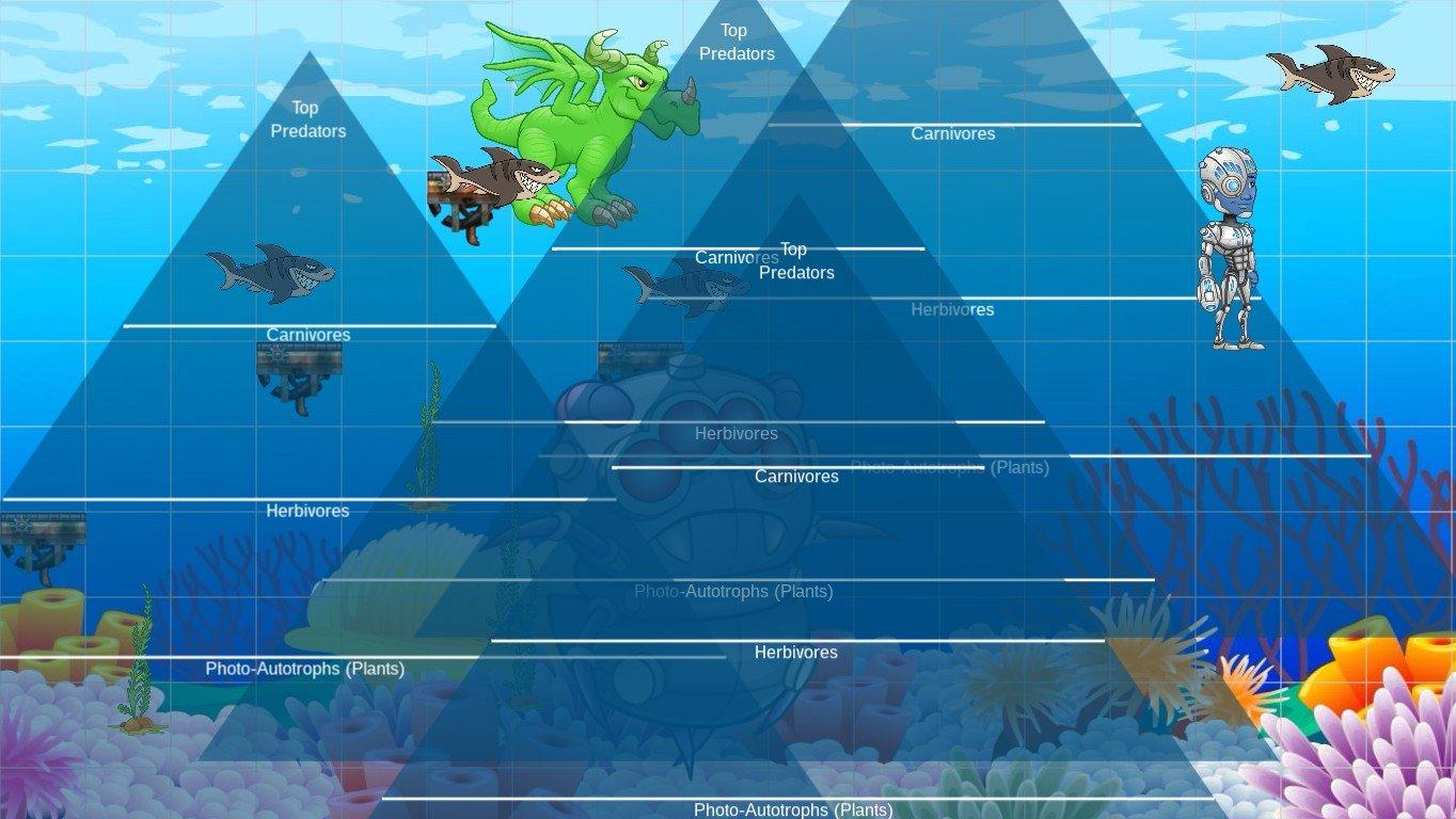 Ocean Ecological Pyramid - TEMPLATE