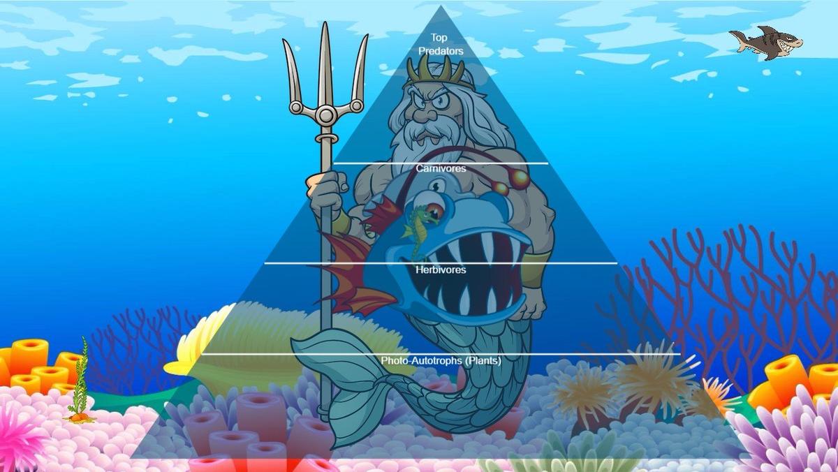 Ocean Ecological Pyramid - TEMPLATE