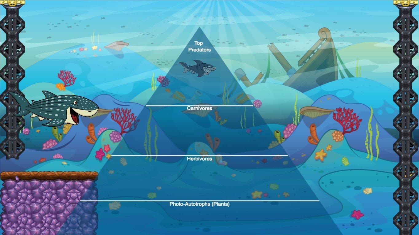 Ocean Ecological Pyramid - TEMPLATE