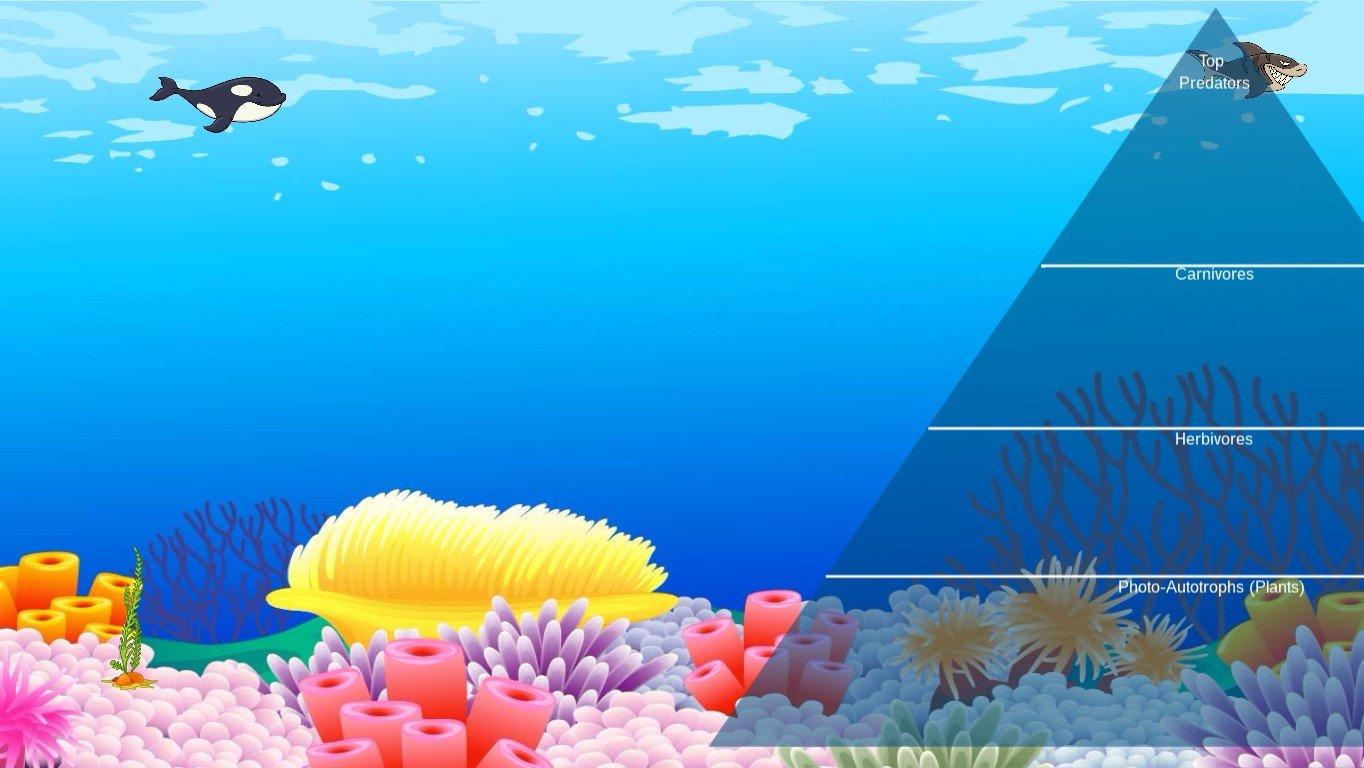 Ocean Ecological Pyramid - TEMPLATE