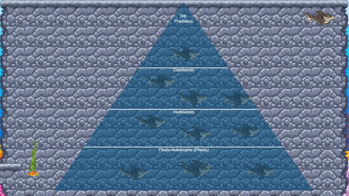 Ocean Ecological Pyramid - TEMPLATE