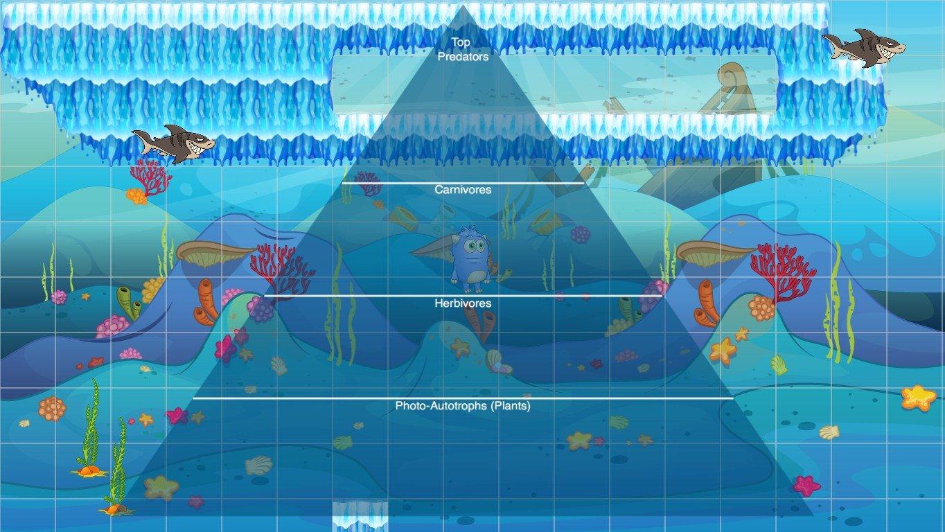 Ocean Ecological Pyramid - TEMPLATE