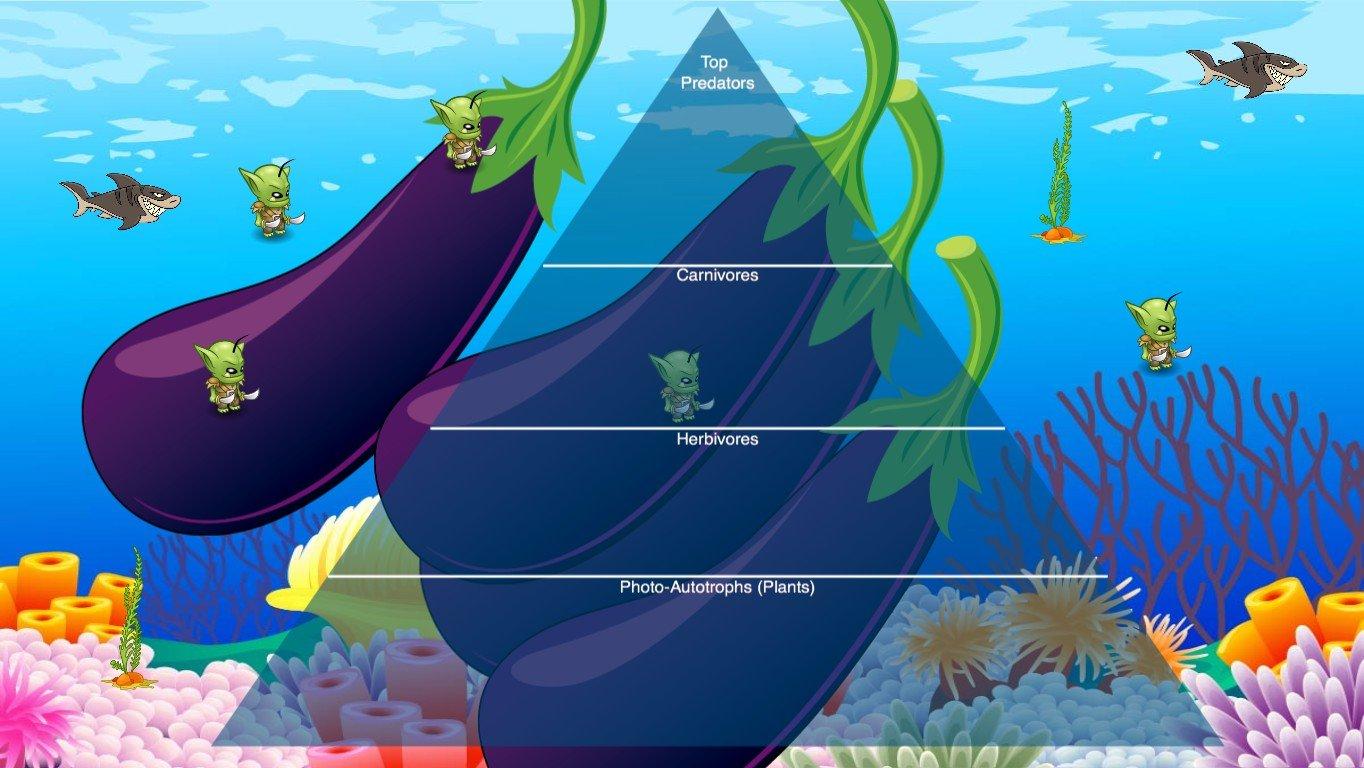 Ocean Ecological Pyramid - TEMPLATE