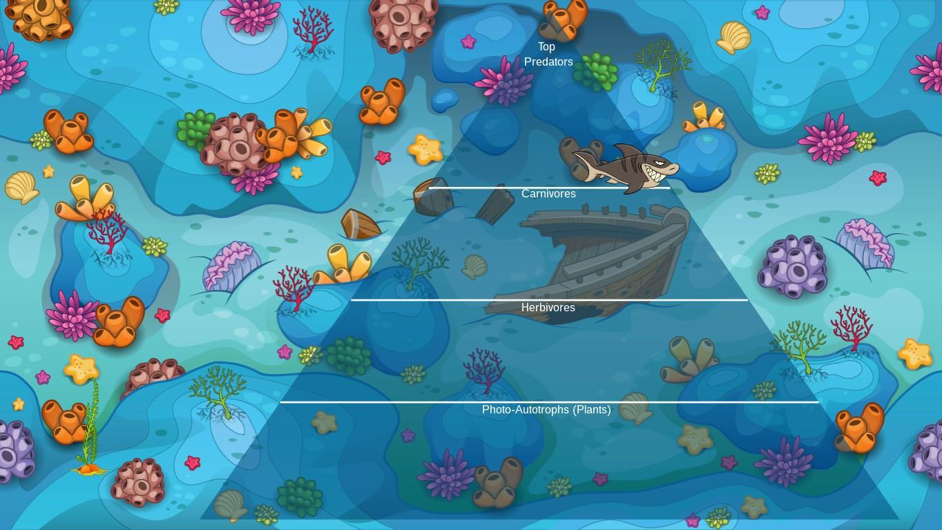 Ocean Ecological Pyramid - TEMPLATE