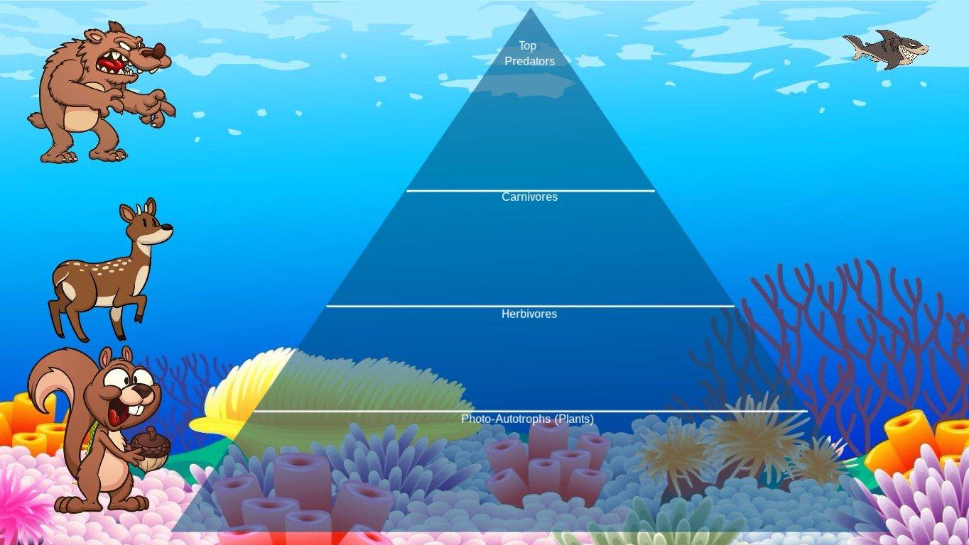 Ocean Ecological Pyramid - TEMPLATE