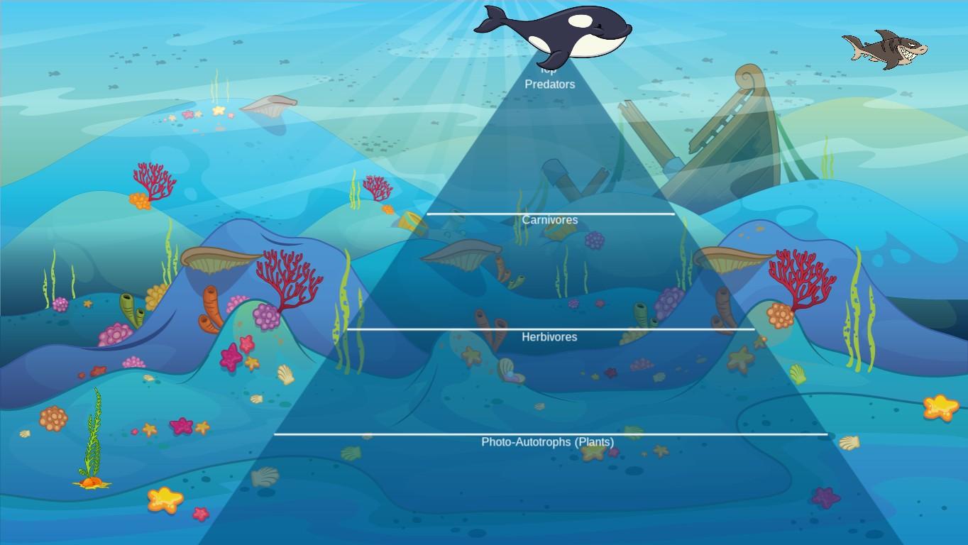 Ocean Ecological Pyramid - TEMPLATE