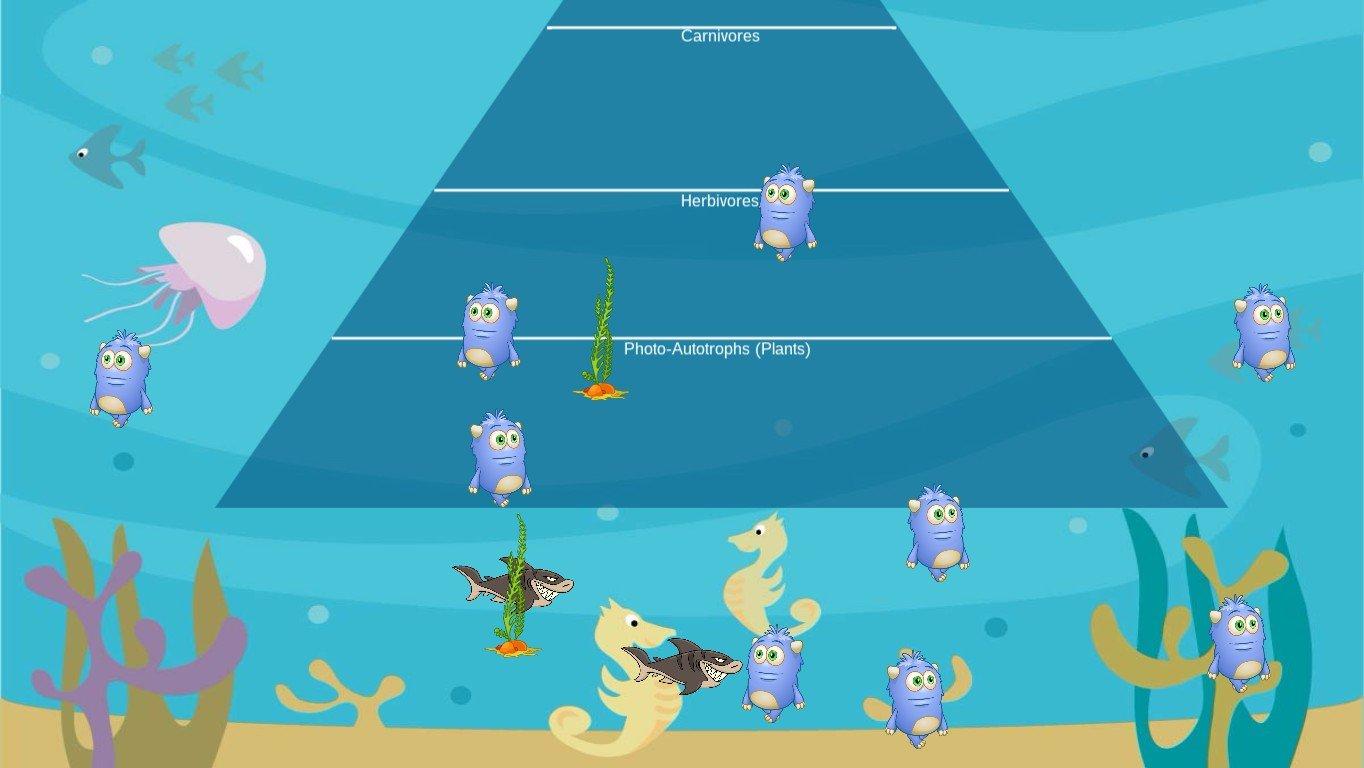 Ocean Ecological Pyramid - TEMPLATE