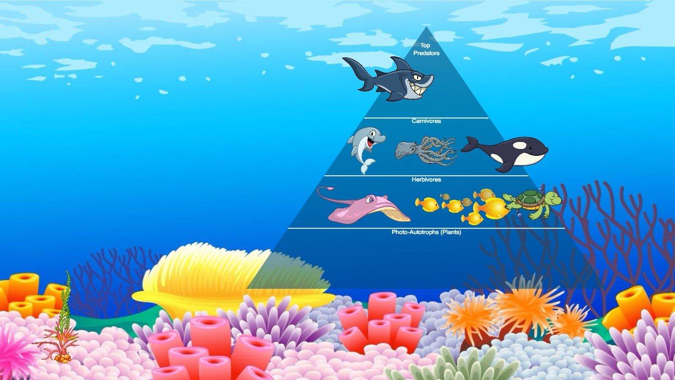 Ocean Ecological Pyramid - TEMPLATE