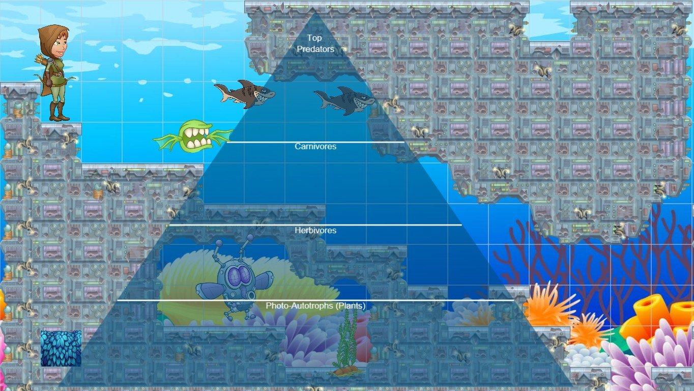 Ocean Ecological Pyramid - TEMPLATE