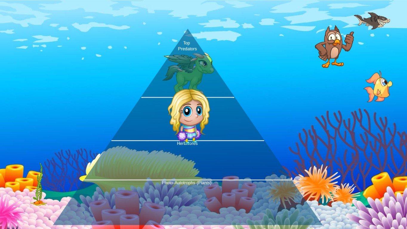 Ocean Ecological Pyramid - TEMPLATE