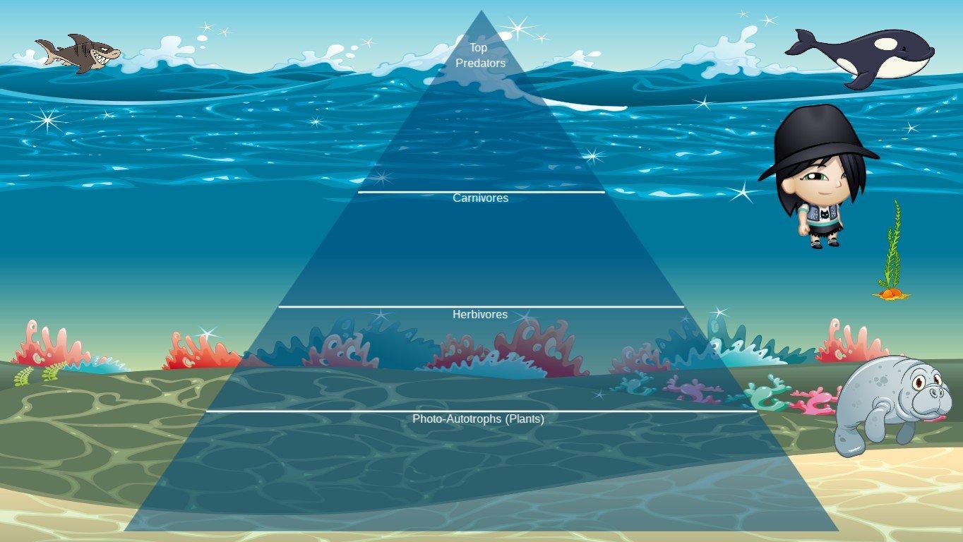 Ocean Ecological Pyramid - TEMPLATE