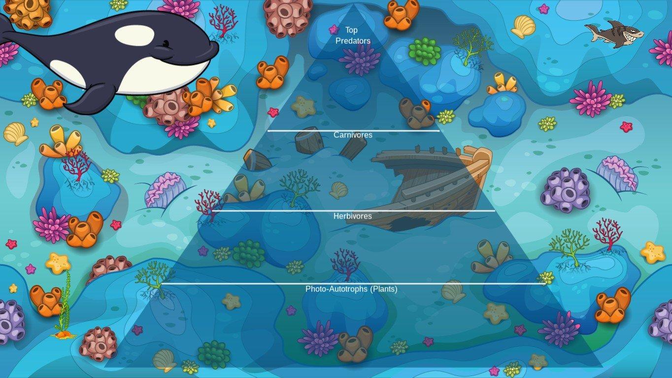 Ocean Ecological Pyramid - TEMPLATE