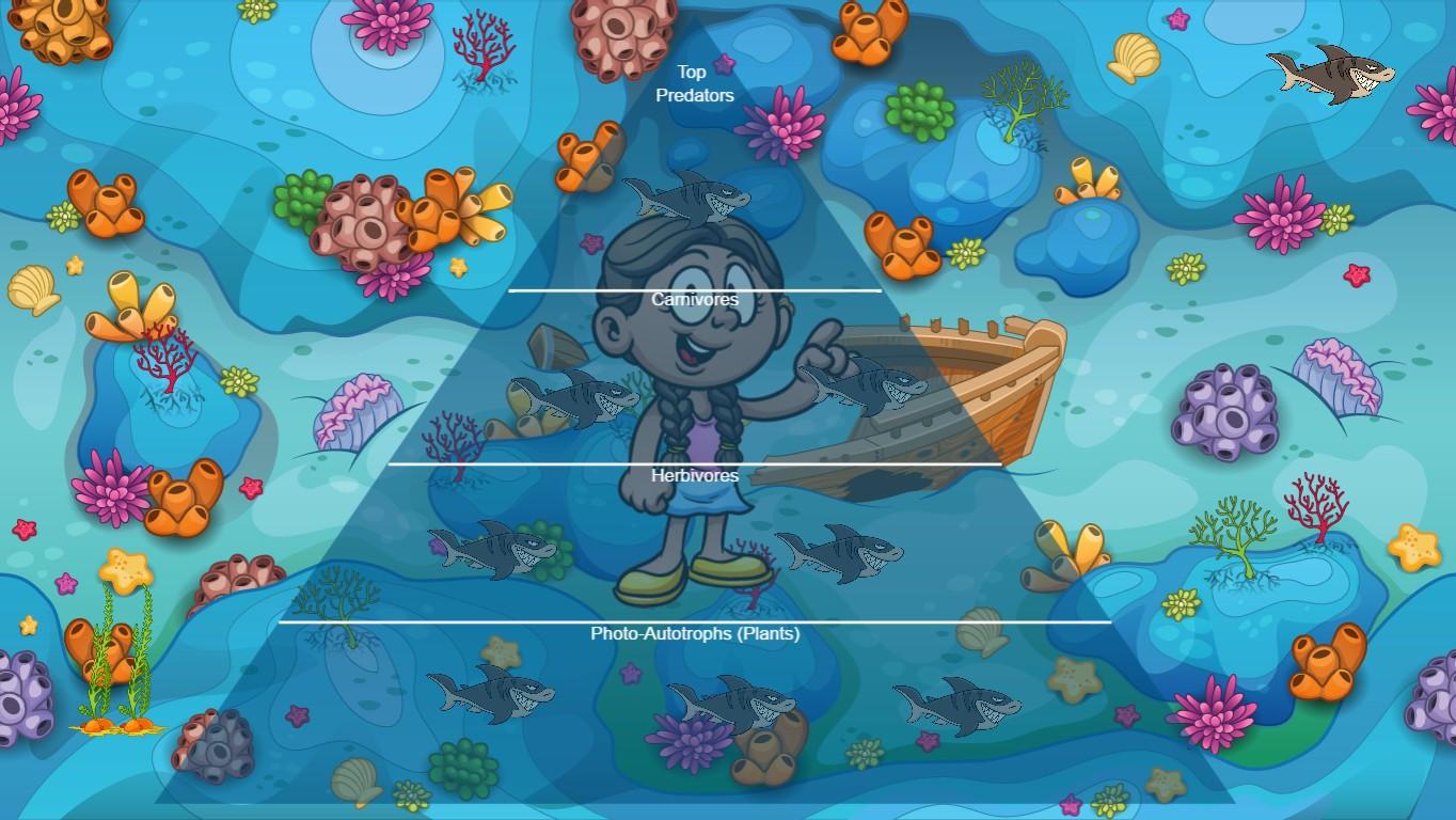 Ocean Ecological Pyramid - TEMPLATE