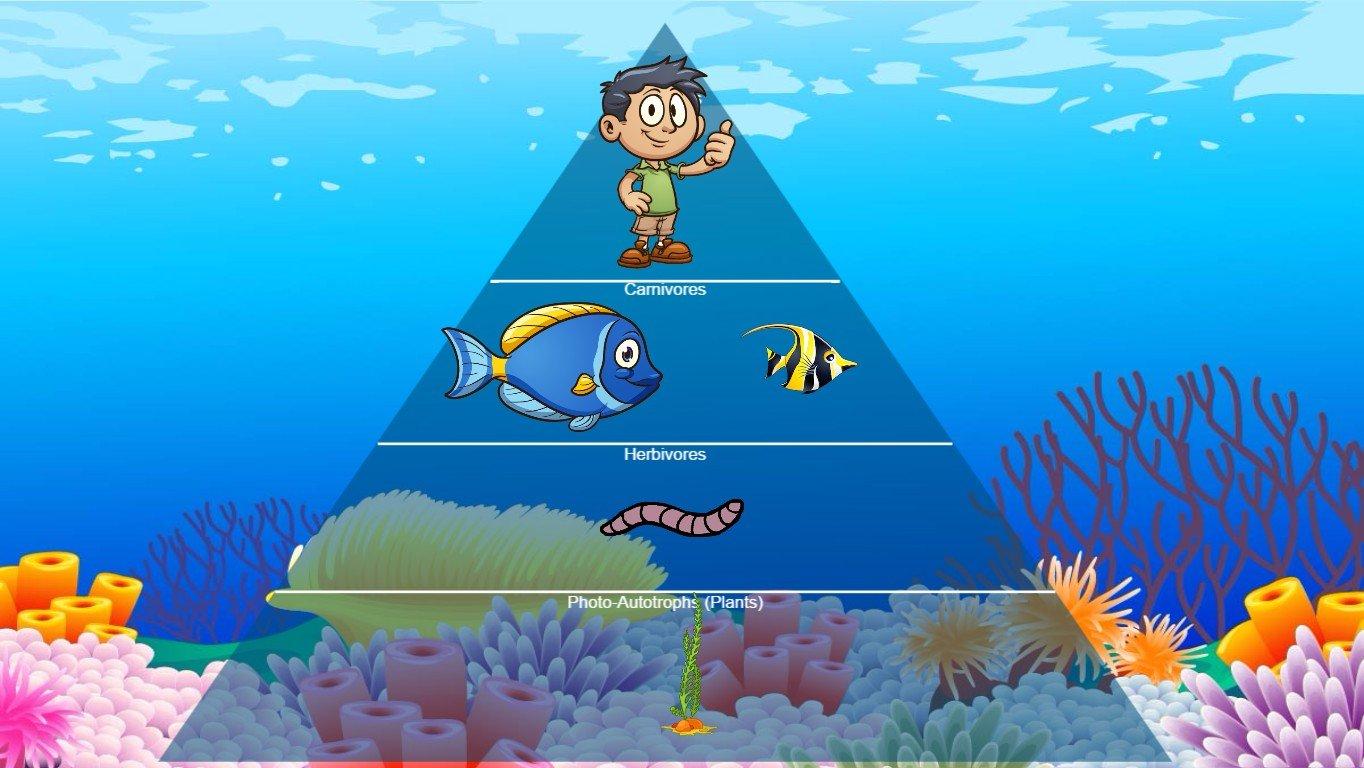 Ocean Ecological Pyramid - TEMPLATE