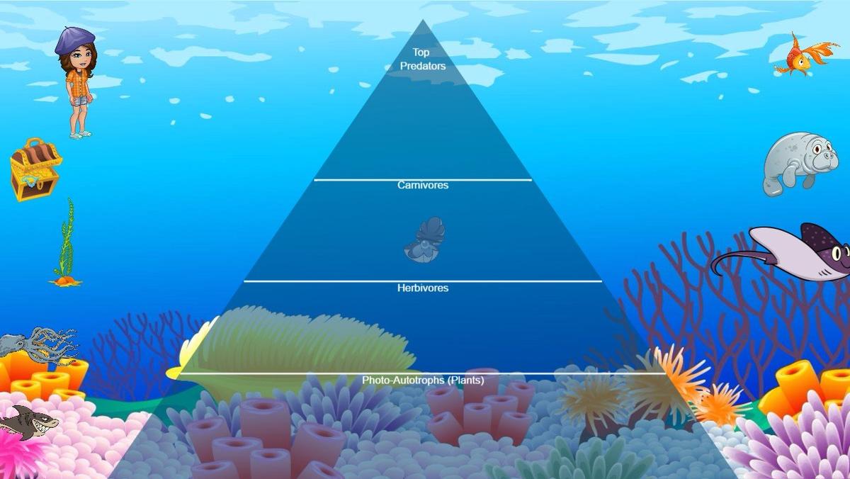 Ocean Ecological Pyramid - TEMPLATE