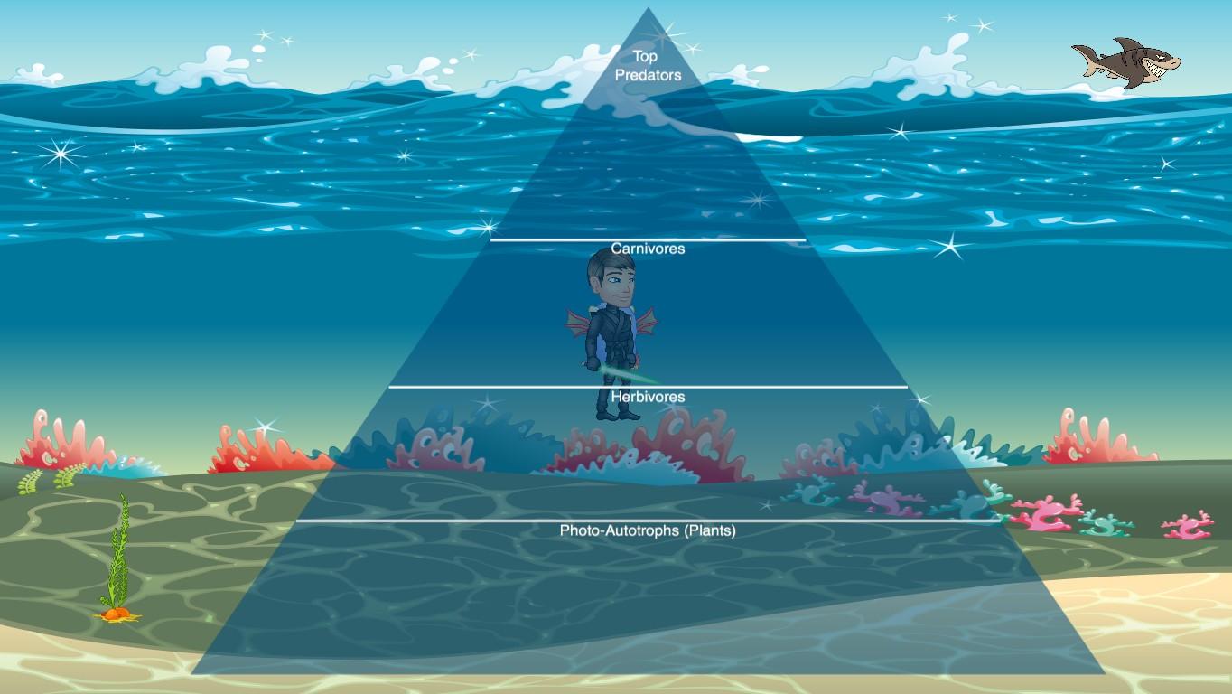 Ocean Ecological Pyramid - TEMPLATE