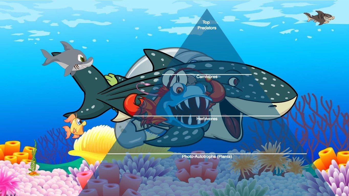 Ocean Ecological Pyramid - TEMPLATE