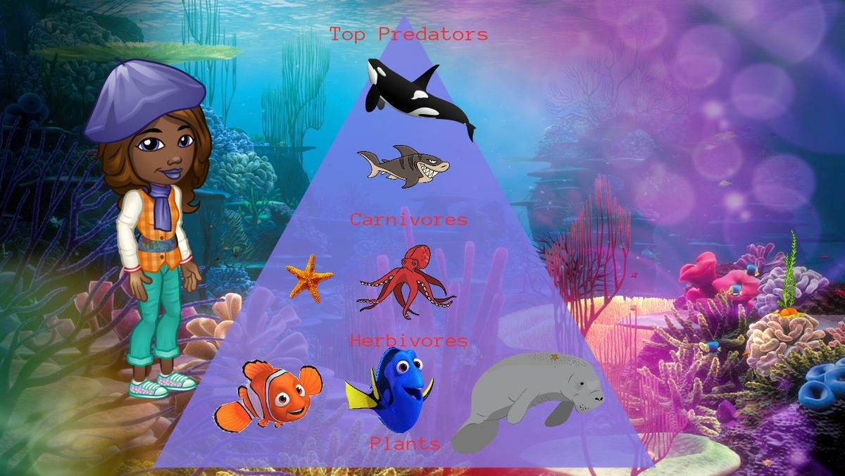 Ocean Ecological Pyramid- stevie chloe