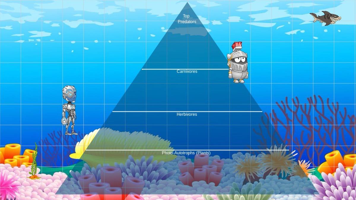 Ocean Ecological Pyramid - TEMPLATE