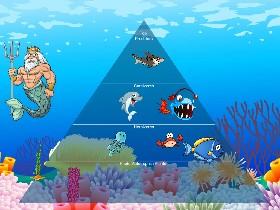 Ecological Pyramid 1