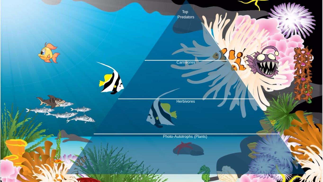 Ocean Ecological Pyramid - TEMPLATE