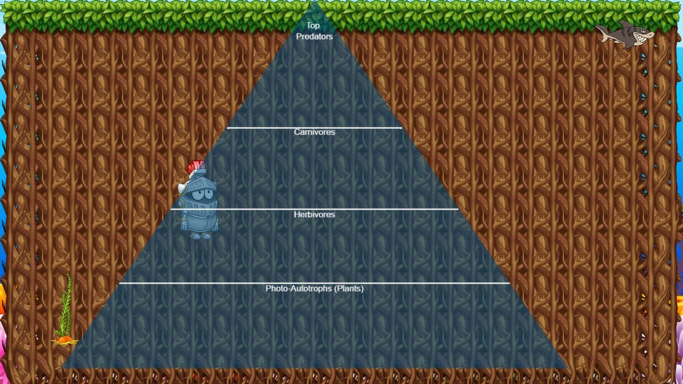 Ocean Ecological Pyramid - TEMPLATE