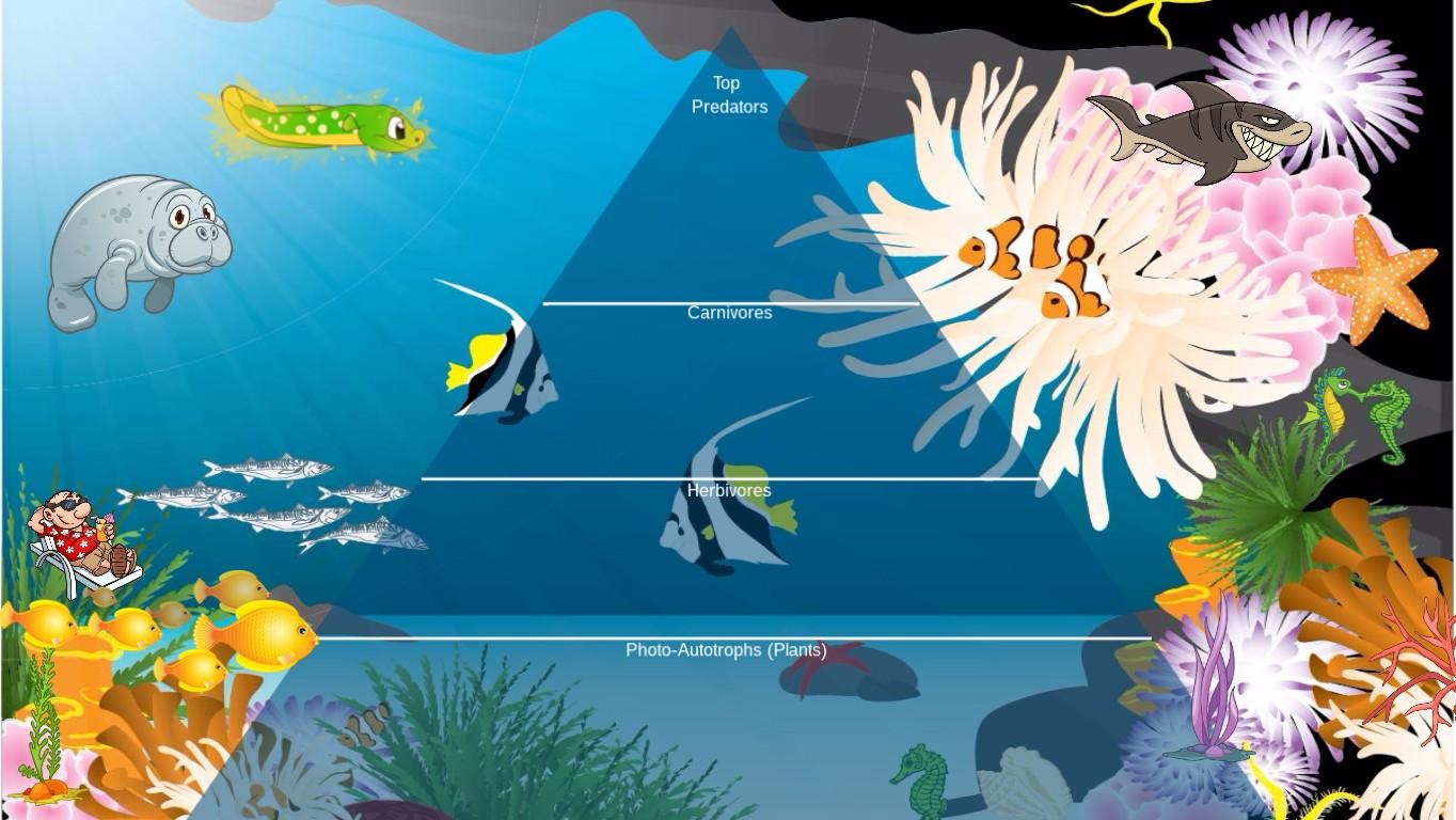 Ocean Ecological Pyramid - TEMPLATE