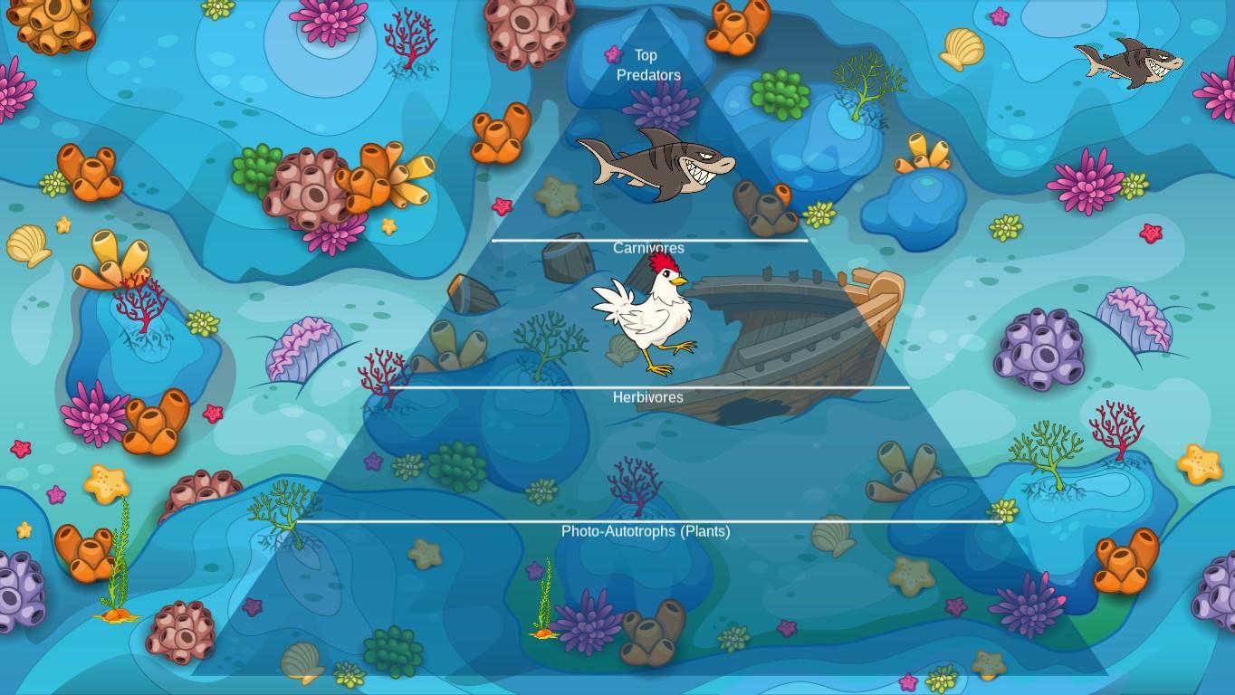 Ocean Ecological Pyramid - TEMPLATE