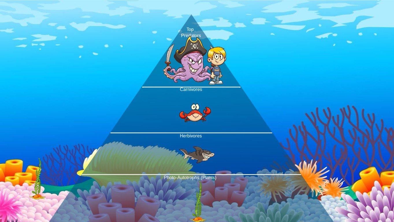 Ocean Ecological Pyramid - TEMPLATE