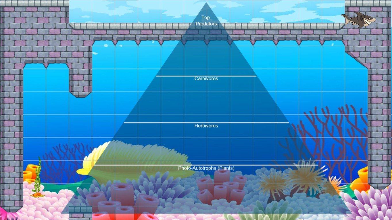 Ocean Ecological Pyramid - TEMPLATE