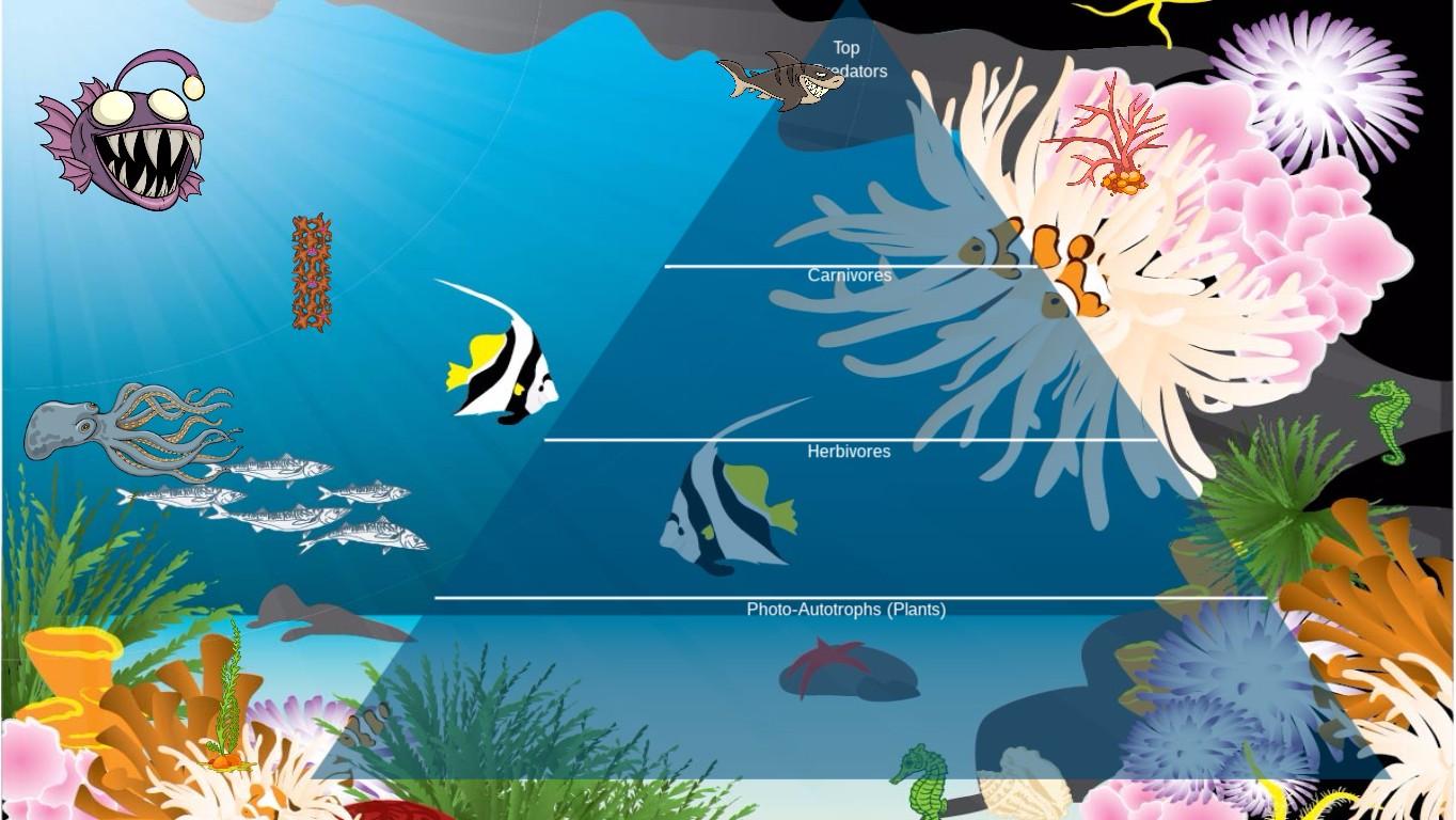 Ocean Ecological Pyramid - TEMPLATE