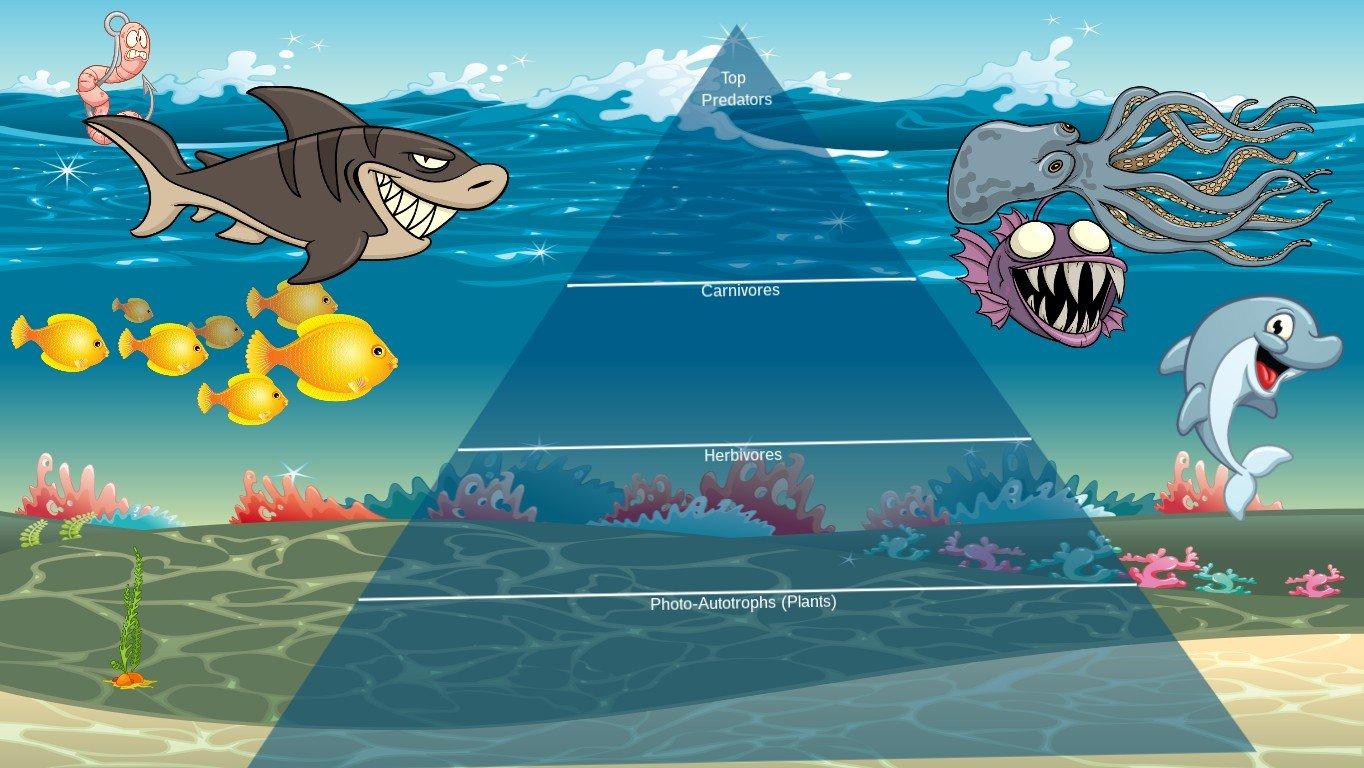 Ocean Ecological Pyramid - TEMPLATE