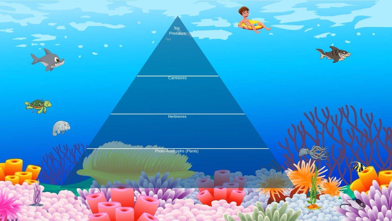 Ocean Ecological Pyramid - TEMPLATE