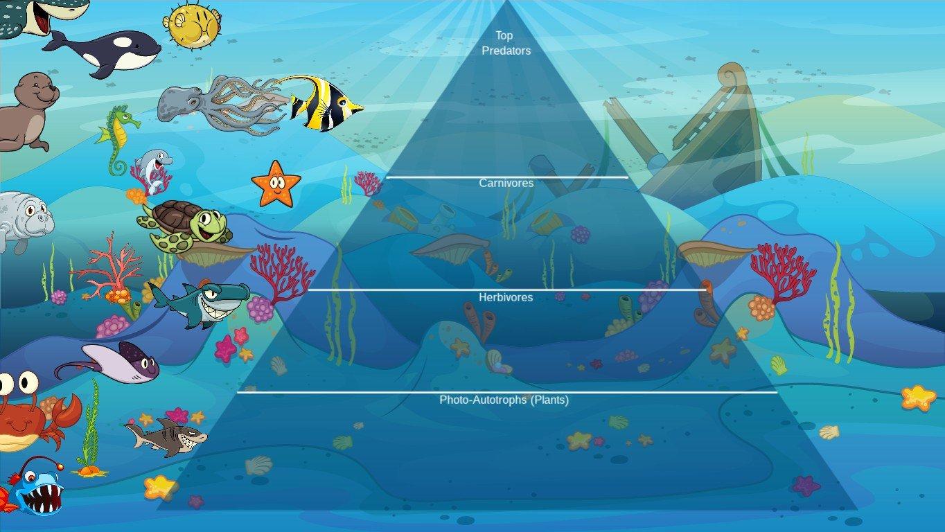 Ocean Ecological Pyramid - TEMPLATE