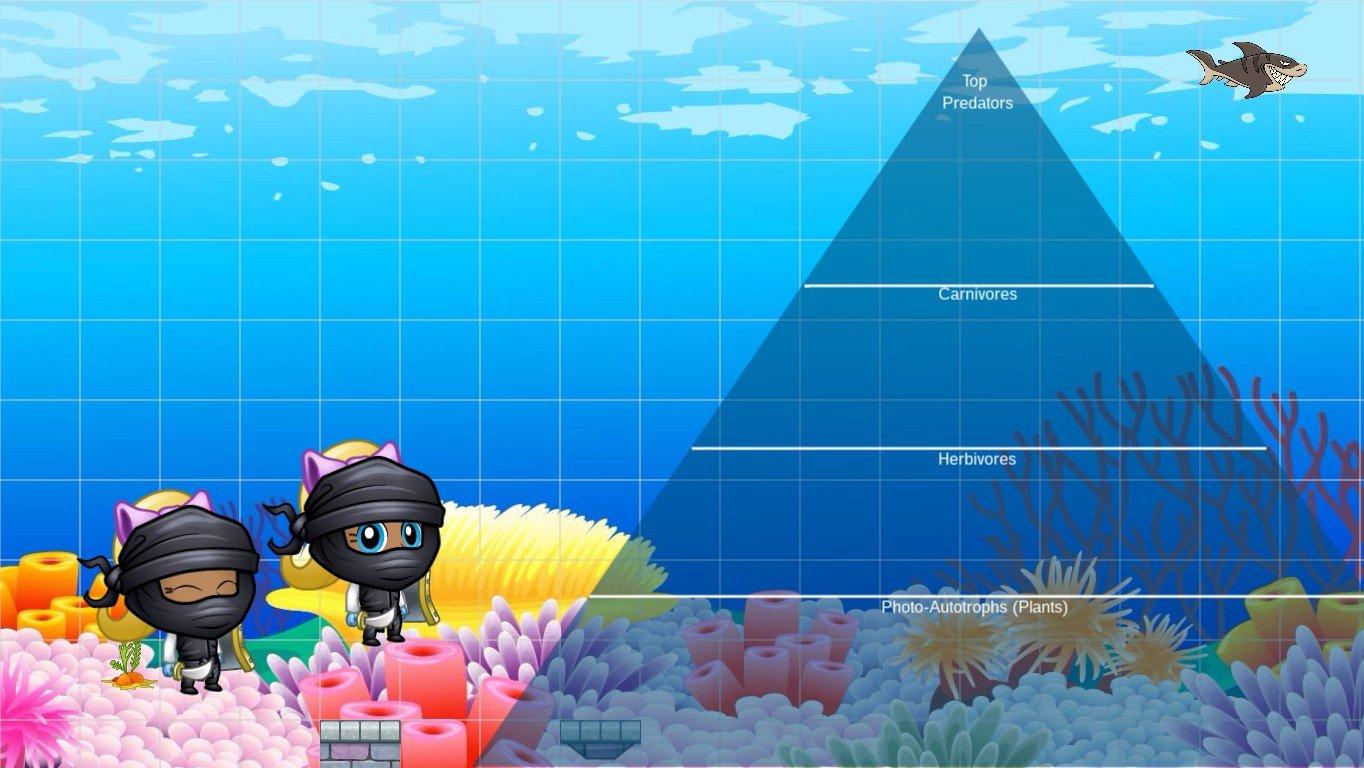 Ocean Ecological Pyramid - TEMPLATE