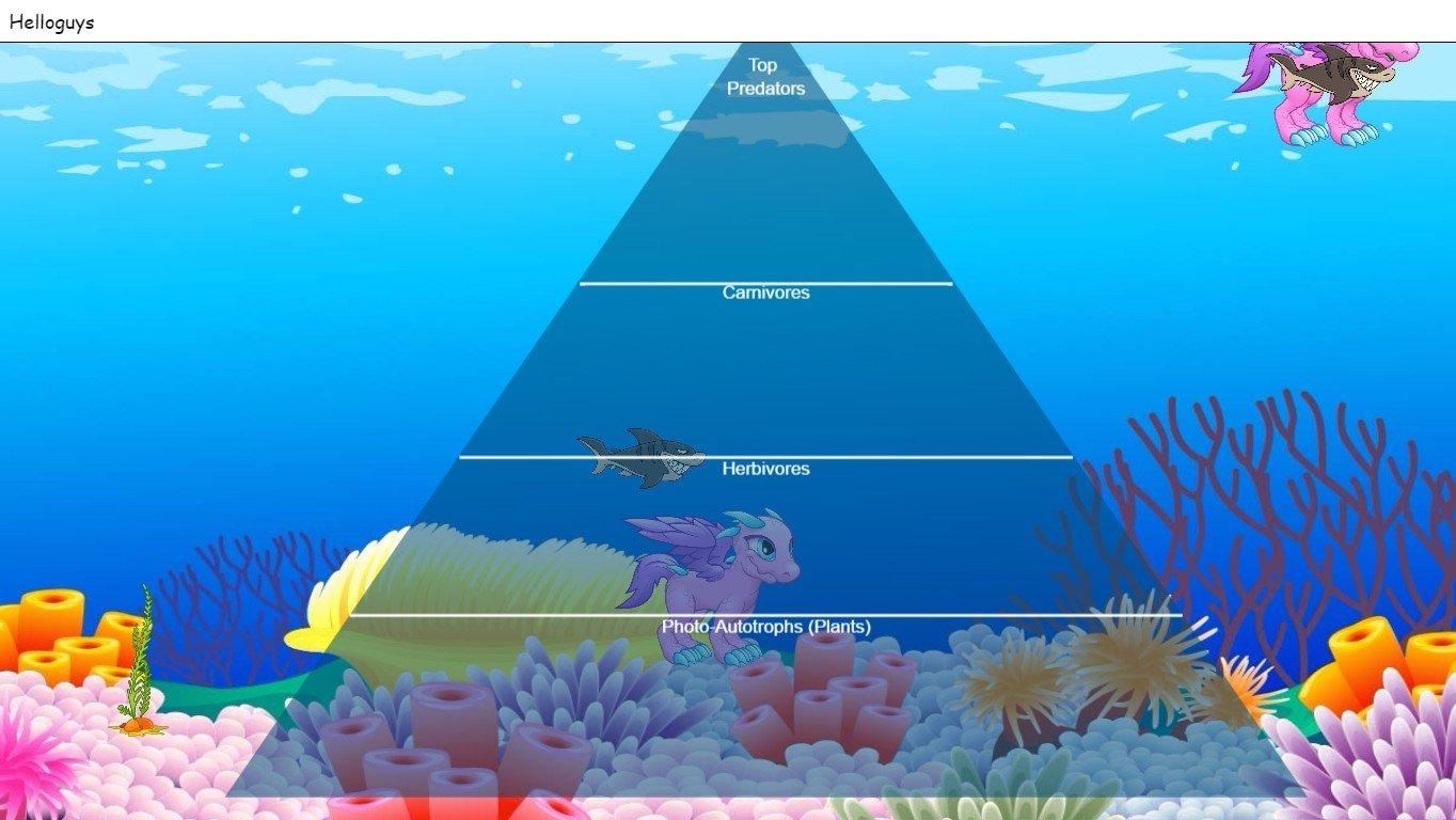 Ocean Ecological Pyramid - TEMPLATE